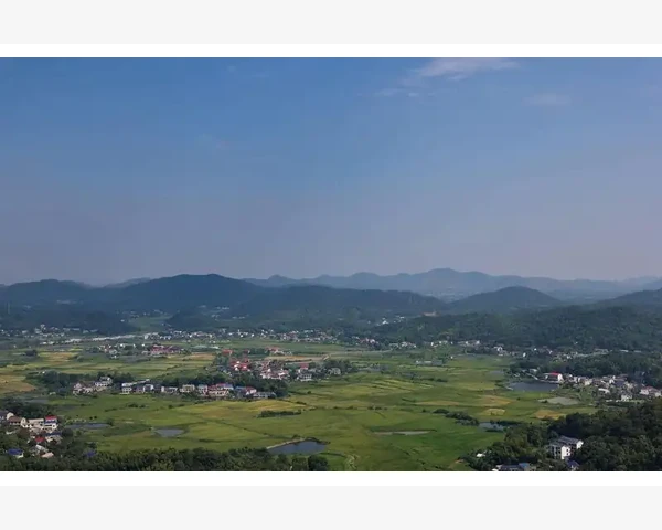 日常补钙，你需要了解哪些钙片？
